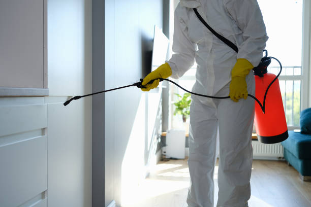 Certified Mold Removal in Hesston, KS