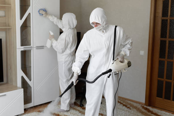 Best Mold Damage Repair  in Hesston, KS
