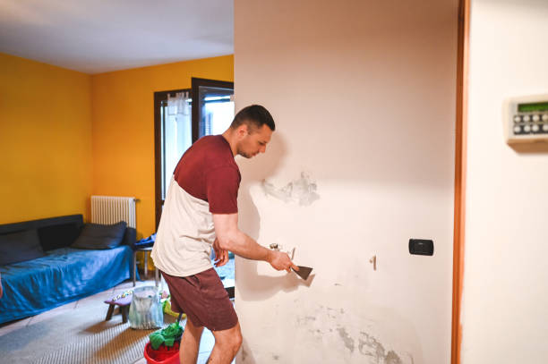 Best Local Mold Removal Service  in Hesston, KS